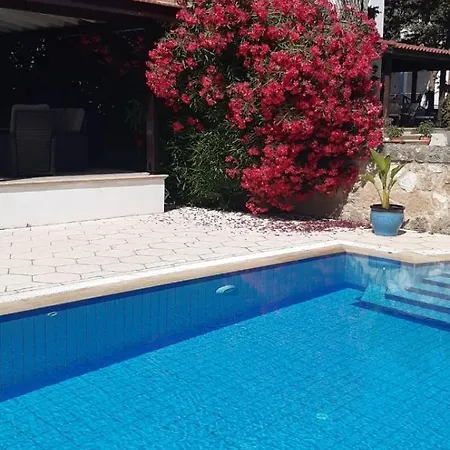 Hillside With Sea Views