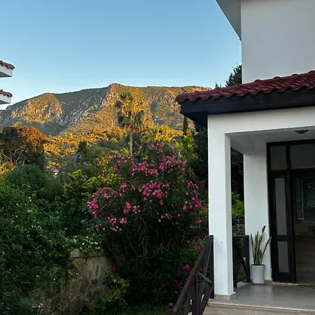 Hillside With Sea Views Cirénia