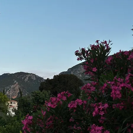 Villa Hillside With Sea Views *