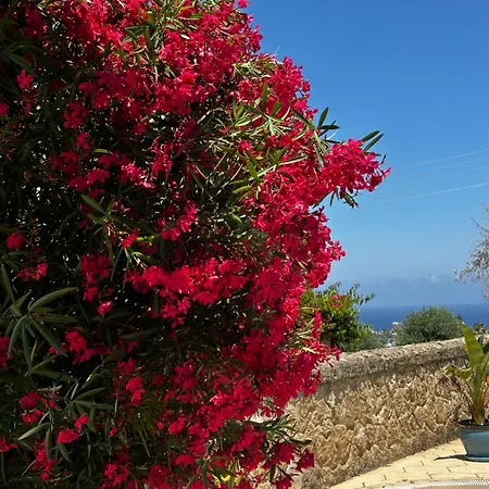 Villa Hillside With Sea Views
