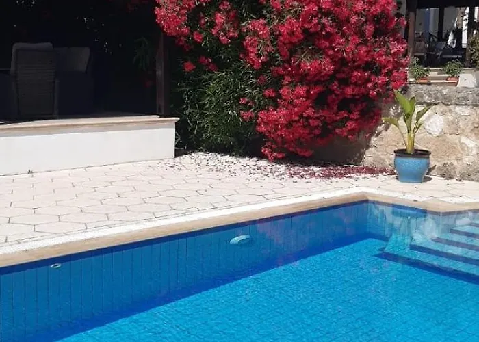 Hillside With Sea Views